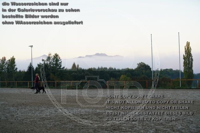 s_K3F09211.JPG